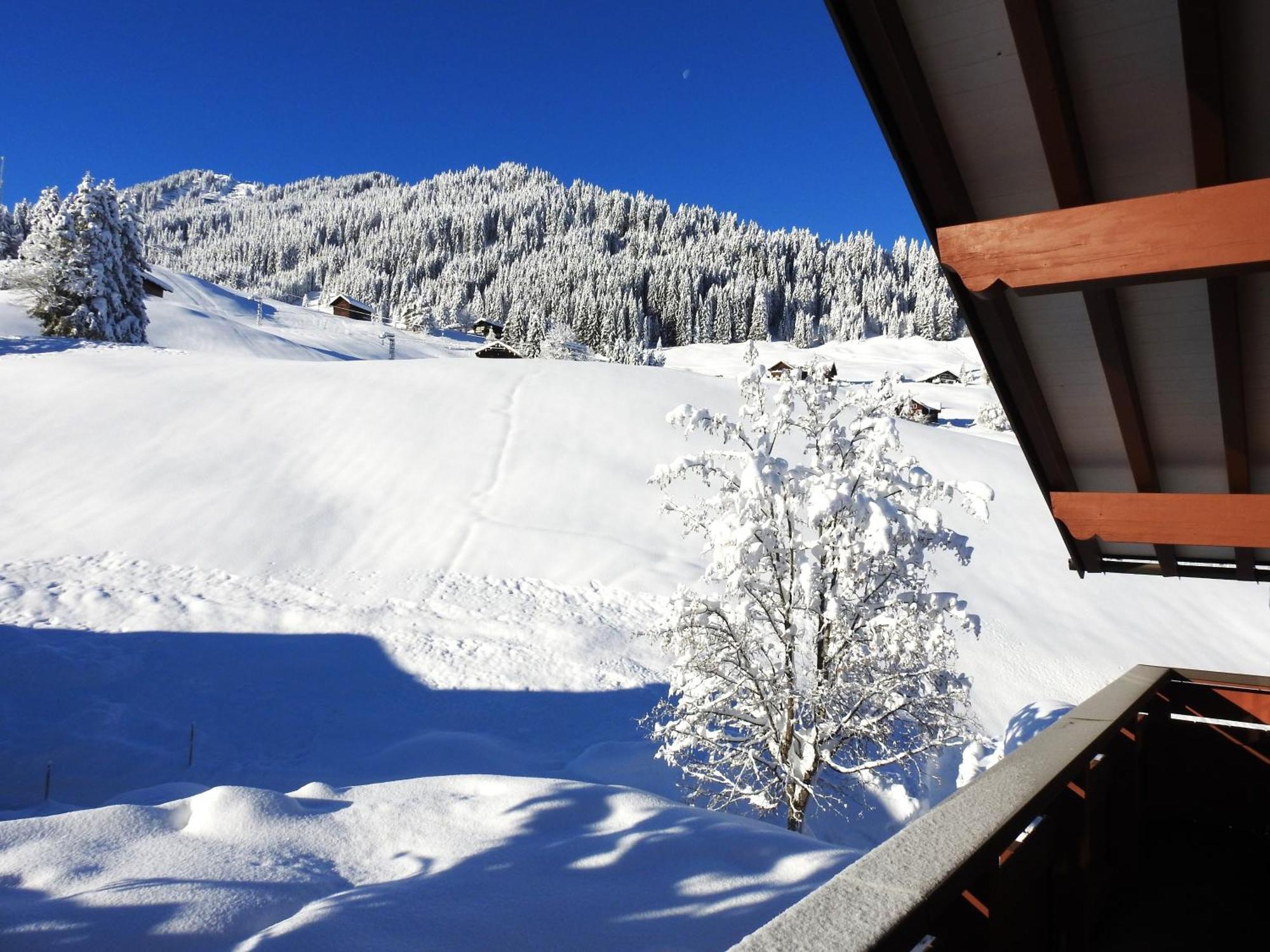 Apartmán Haus Berg & Tal Hirschegg  Exteriér fotografie